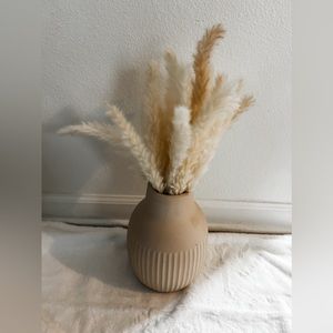 Pampas Grass Filler